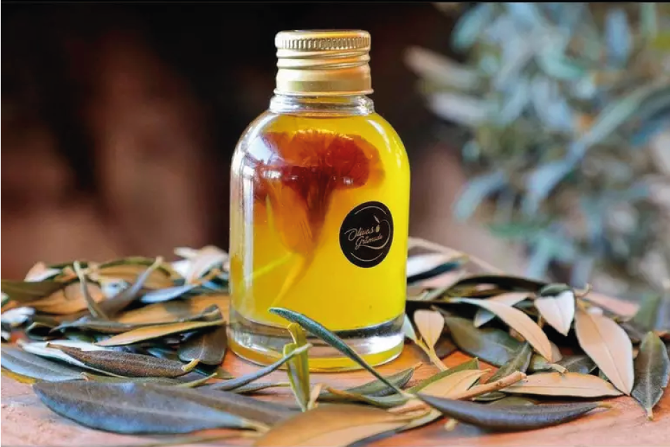 Rascunho automático