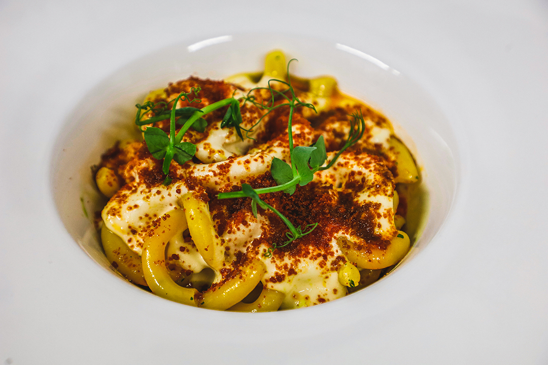 Rascunho automático