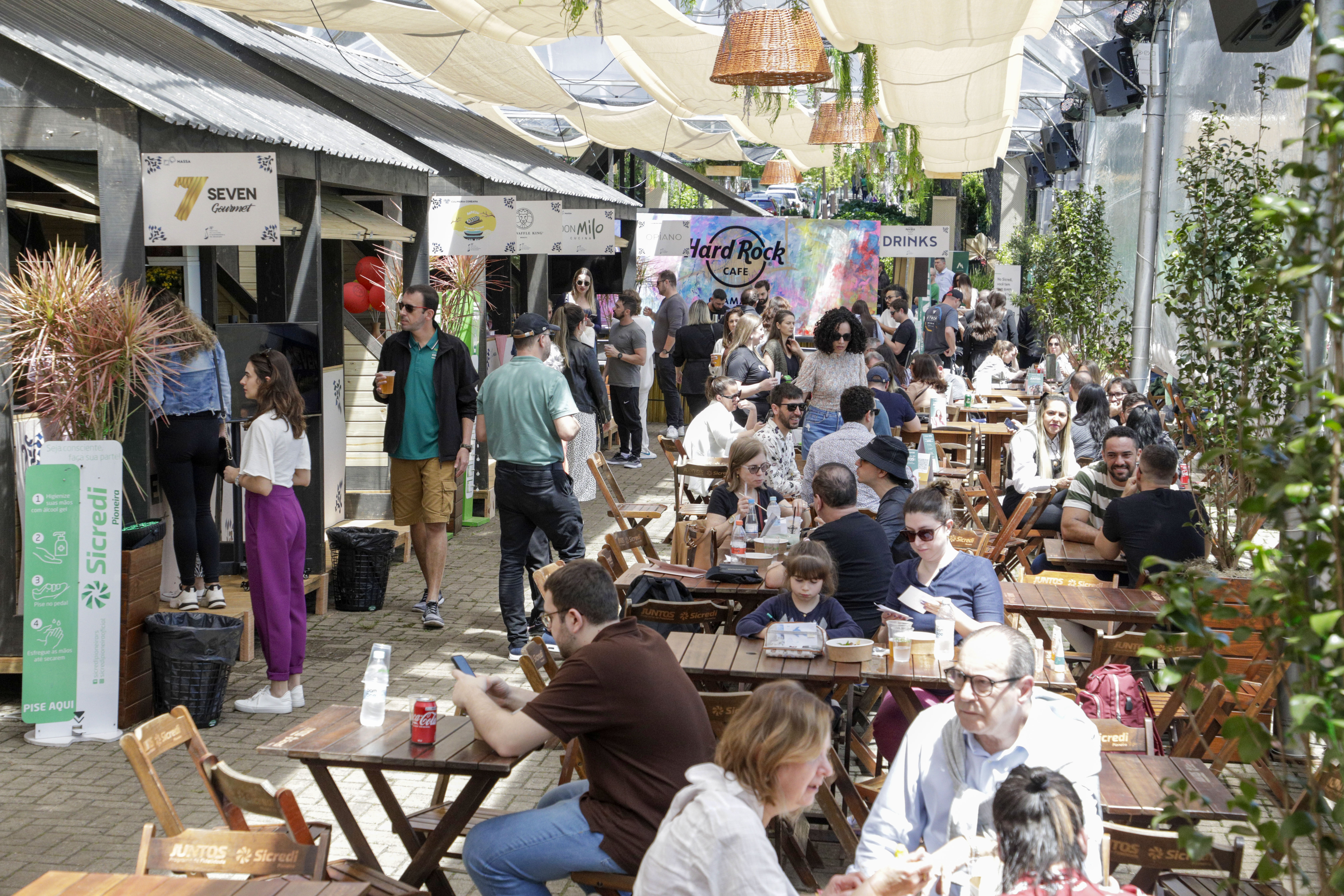 Rascunho automático