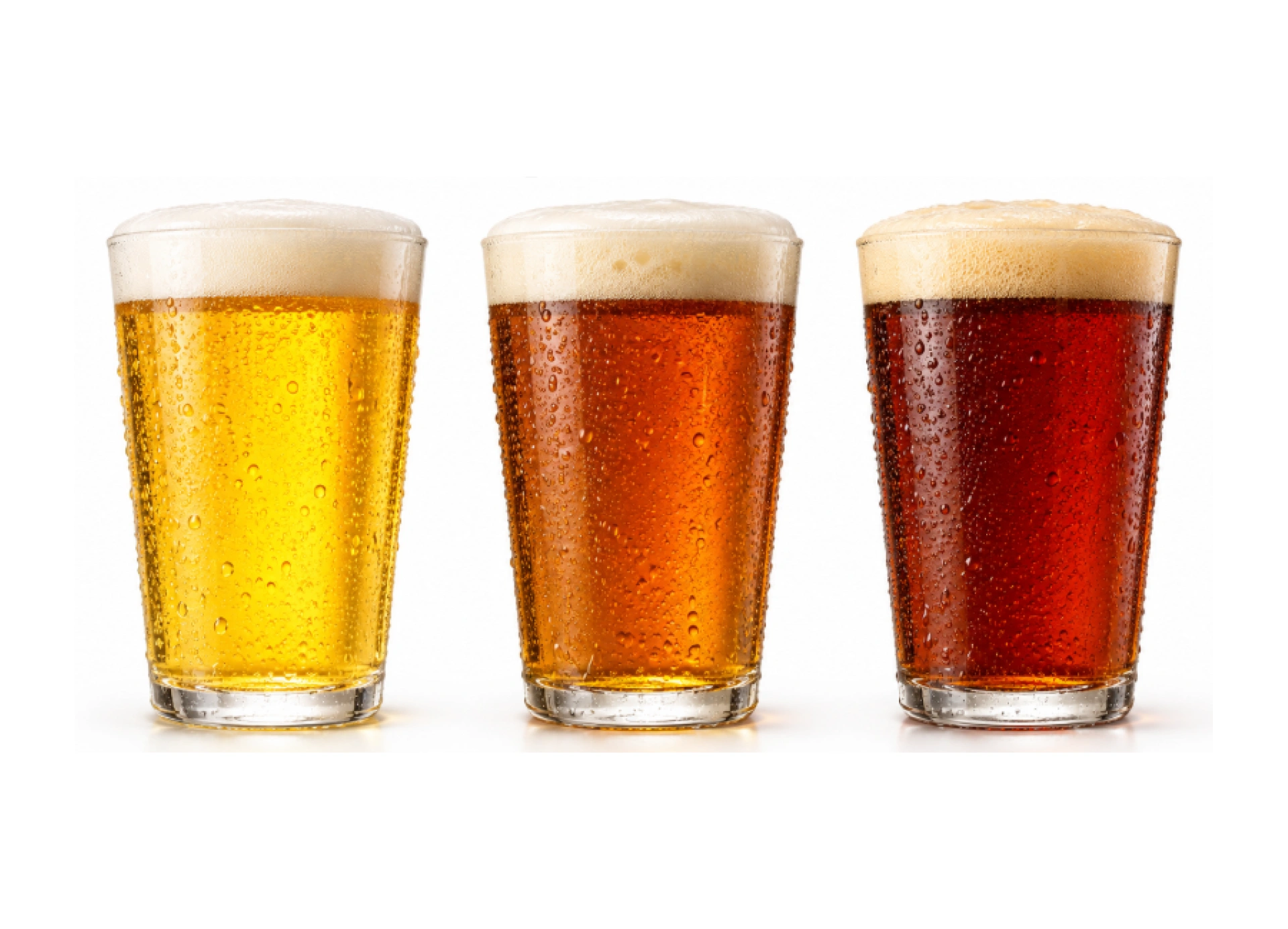 Chopp